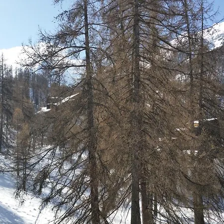 Le Des Marmottes - Calme, Cosy, Vue Nature * Les Orres